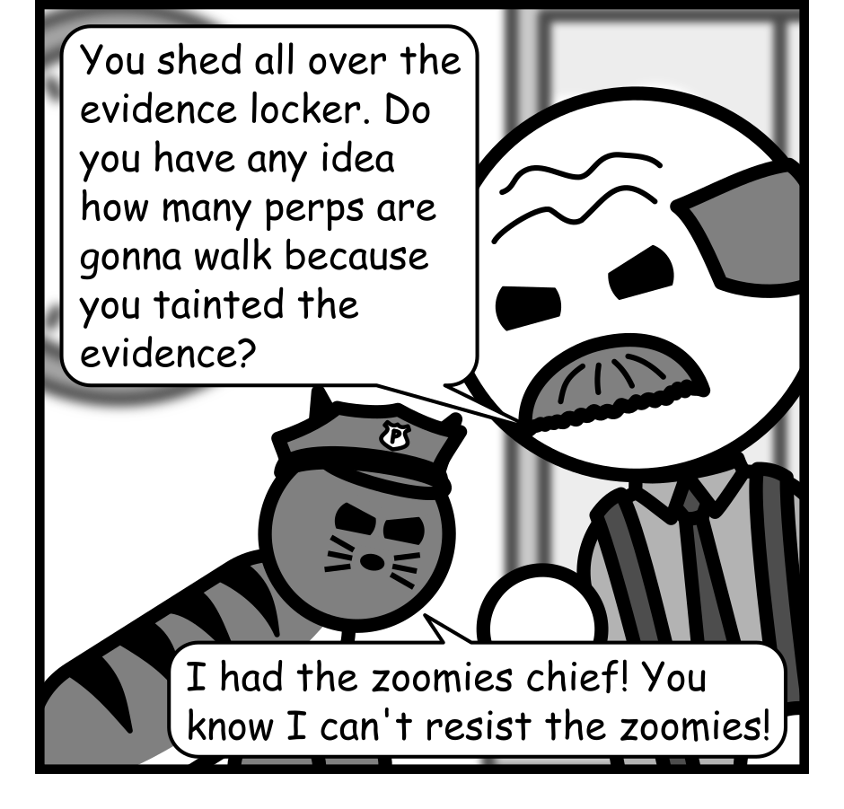 Panel 3